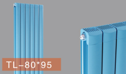 ͭɢ80X95